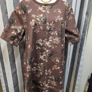 entro brown floral print short sleeve mini dress